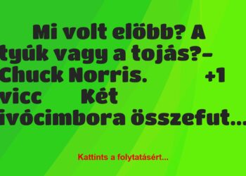 Vicc:
Mi volt előbb? A tyúk vagy a tojás?- Chuck…