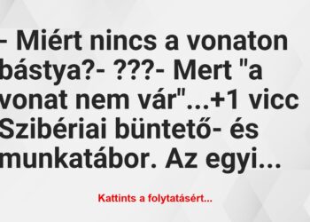 Vicc: – Miért nincs a vonaton bástya?– ???– Mert “a vonat nem…