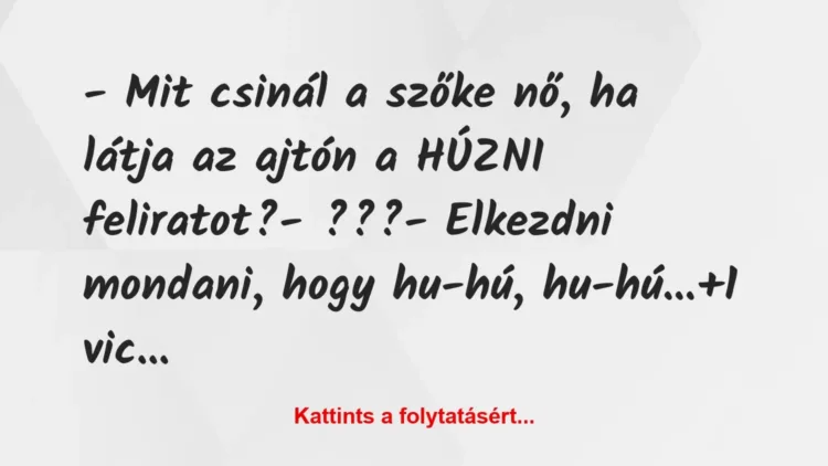 Vicc: – Mit csinál a szőke nő, ha látja az ajtón a HÚZNI feliratot?

-…