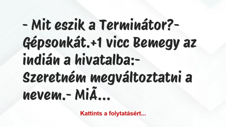 Vicc: – Mit eszik a Terminátor?

– Gépsonkát.