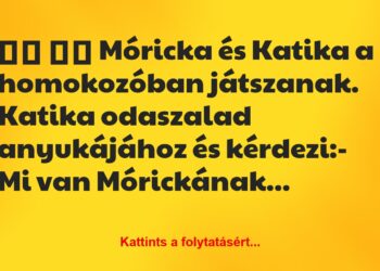 Vicc:
Móricka és Katika a homokozóban játszanak. Katika…