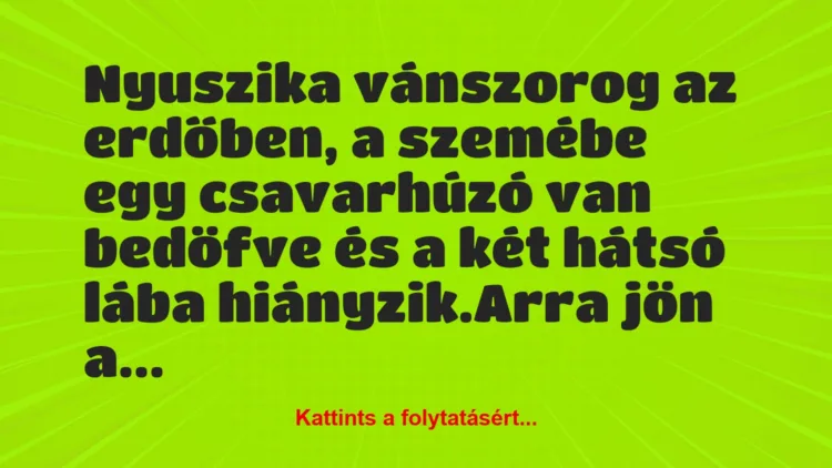 Vicc: Nyuszika vánszorog az erdőben, a szemébe egy csavarhúzó van bedöfve és…