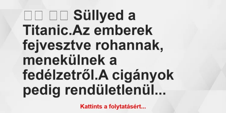 Vicc:
Süllyed a Titanic.Az emberek fejvesztve…