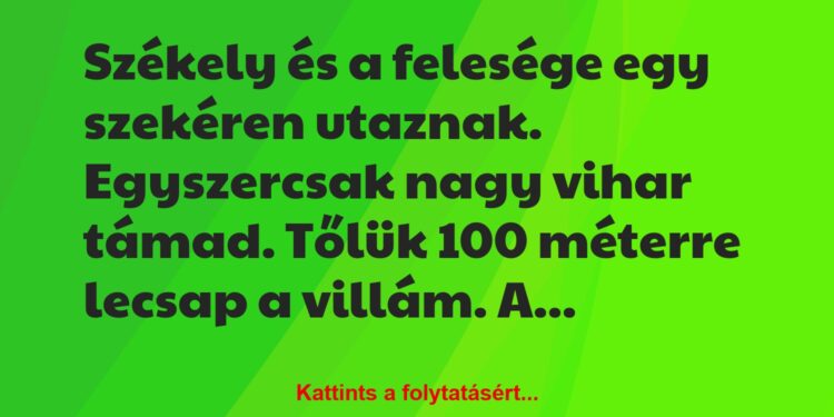 Vicc: Székely és a felesége egy szekéren utaznak.
Egyszercsak nagy vihar…