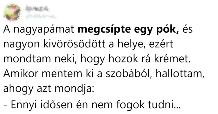 13 bűbájos nagyszülő, akik nélkül az élet sokkal szürkébb lenne