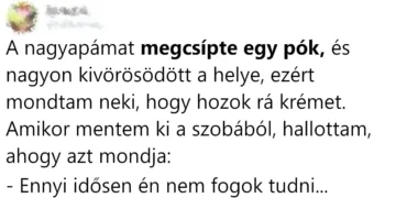 13 lenyűgöző nagyszülő, akikhez hasonlóan egyediek nincsenek…