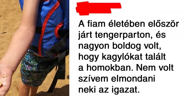 Kétségbeesett vakációk: 21 ember, aki egy egyszerű vakációt szeretett volna, de…