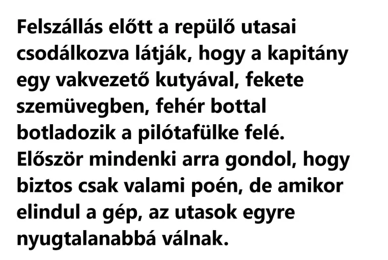 A pilóta vakvezető kutyával lép be a gépbe – Utasok riadalma a repülőn