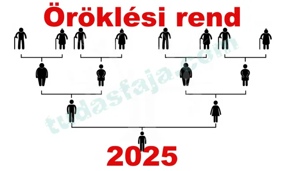 Rázzuk fel a poros papirokat: 2025-ben új rendbe szerveződik az öröklési szabályozás Magyarországon