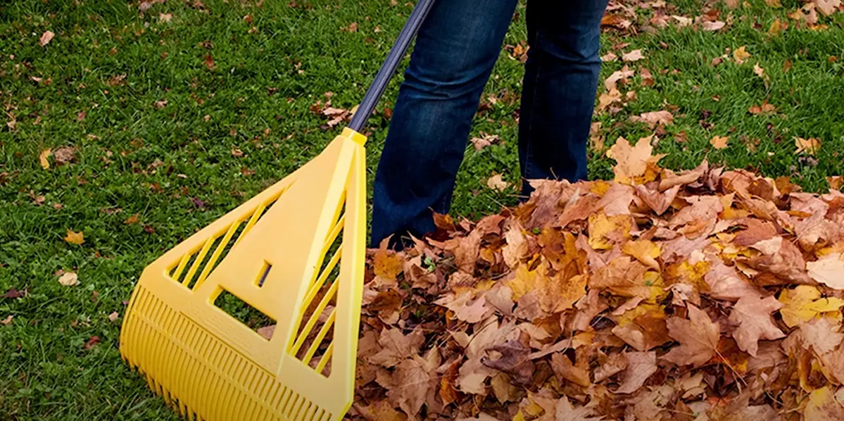 Ki ne dobd az ősszel lehulló faleveleket: 9 hasznos tipp, amire…