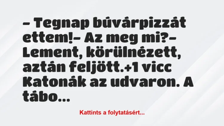 Vicc: – Tegnap búvárpizzát ettem! – Az meg mi? – Lement,…