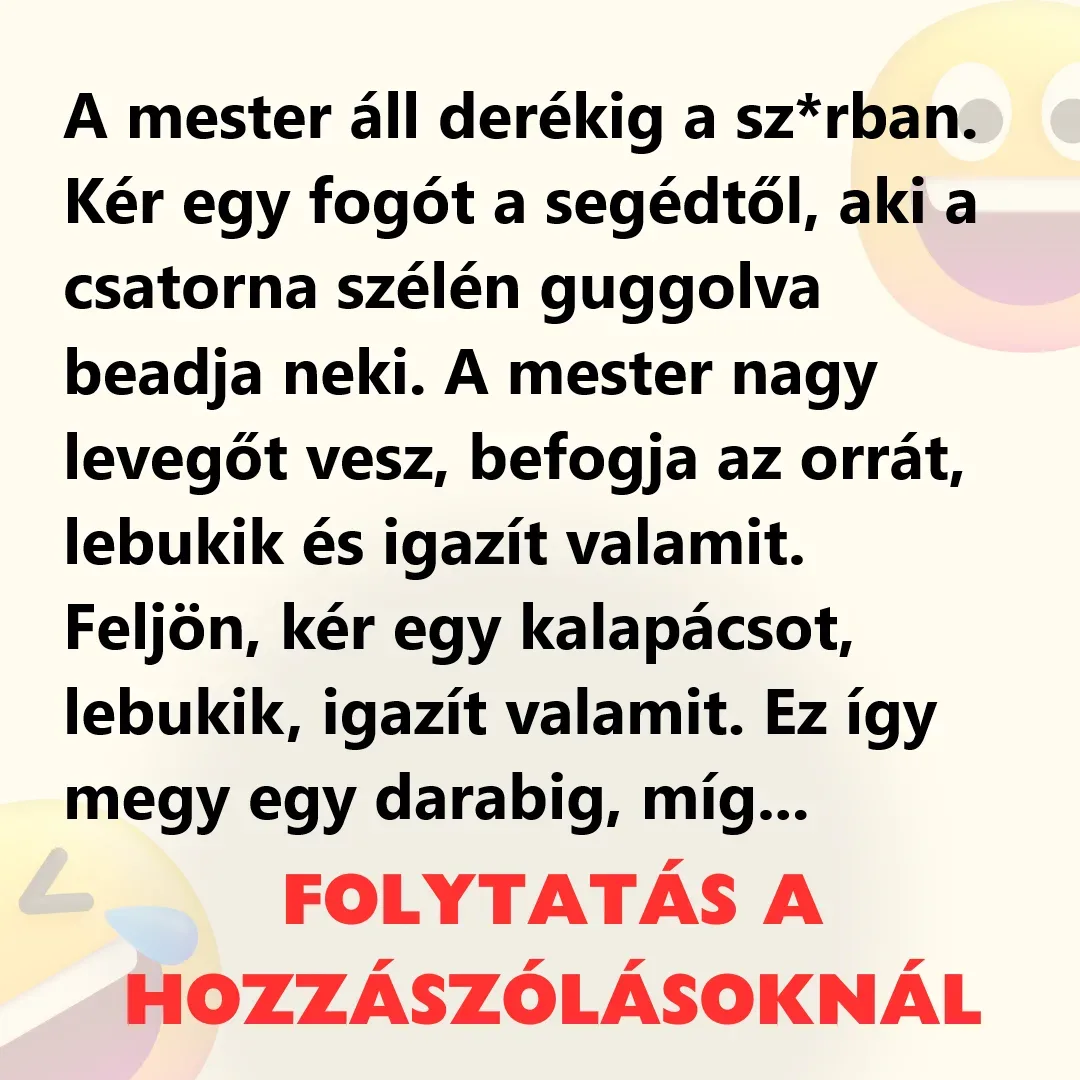 Vicc: A mester áll derékig a sz*rban