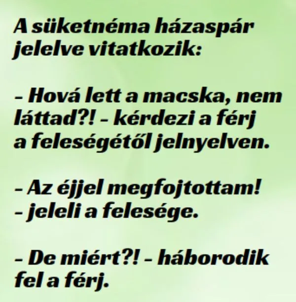 Vicc: Humor: A süketnéma házaspár jelelve vitatkozik –