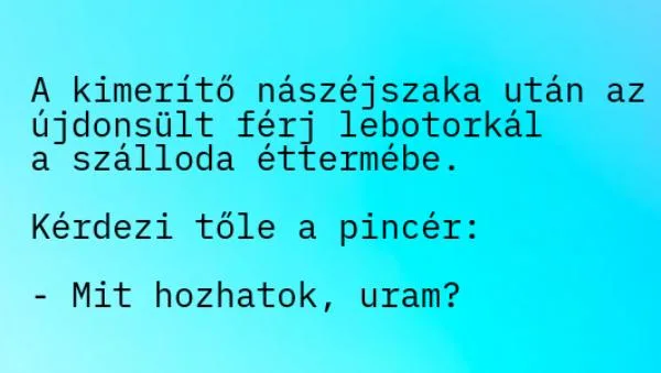 Vicc: VICC: A kimerítő nászéjszaka után az újdonsült férj lebotorkál a…