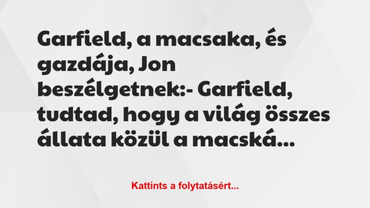 Vicc: Garfield, a macsaka, és gazdája, Jon beszélgetnek:– Garfield,…