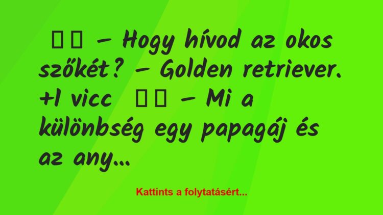 Vicc: 
		  
		  – Hogy hívod az okos szőkét?- Golden…