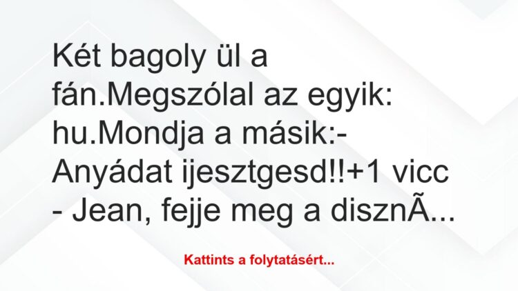 Vicc: Két bagoly ül a fán.

Megszólal az egyik: hu.

Mondja a…