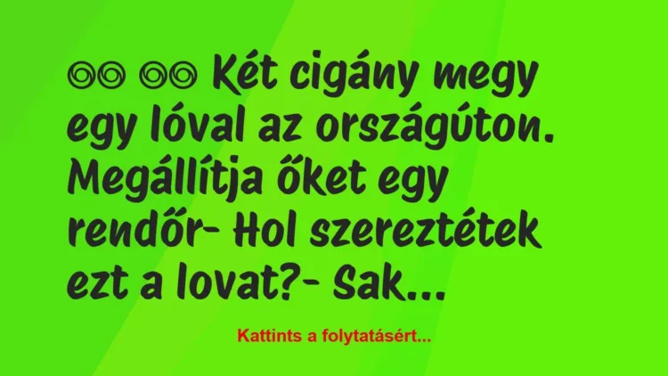 Vicc: 
		  
		  Két cigány megy egy lóval az országúton….