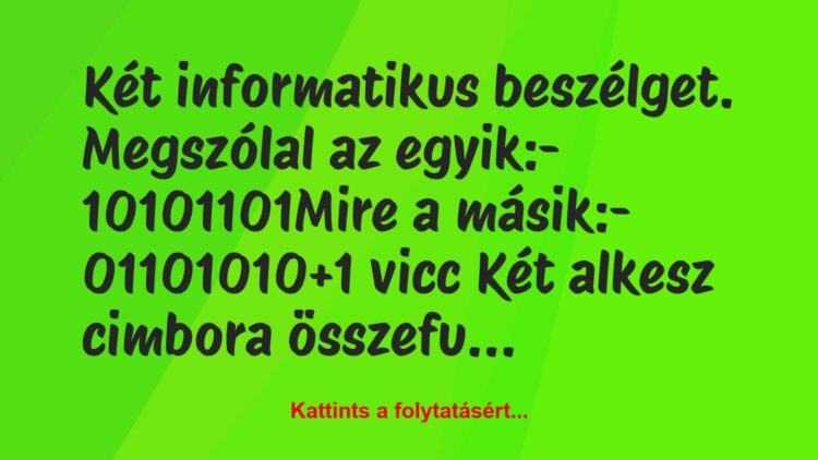 Vicc: Két informatikus beszélget. Megszólal az egyik:

-…