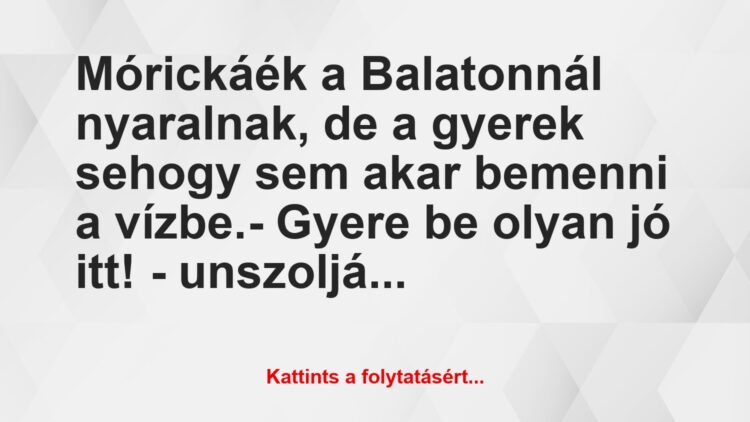 Vicc: Mórickáék a Balatonnál nyaralnak, de a gyerek sehogy sem akar bemenni…