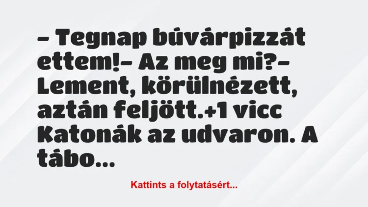 Vicc: – Tegnap búvárpizzát ettem!

– Az meg mi?

– Lement,…