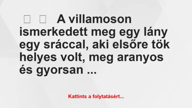 Vicces történet: 
	    	    


A villamoson ismerkedett meg egy lány …