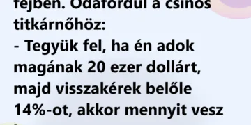 A bonyolult számítás kihívása – ha a főnök váratlan feladatot ad