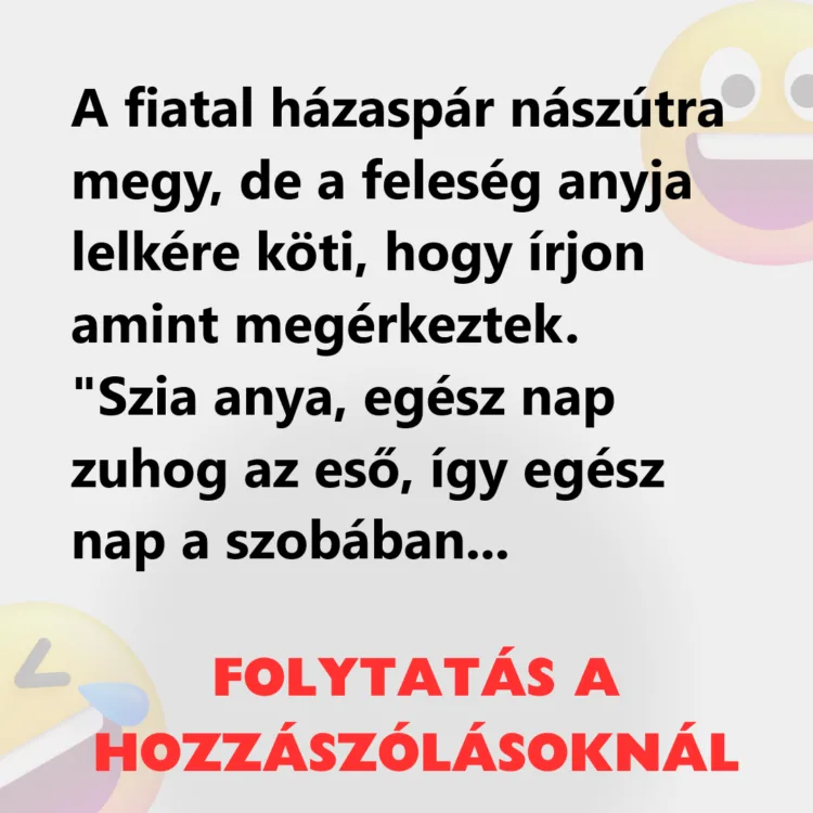 Vicc: A fiatal házaspár nászútra megy