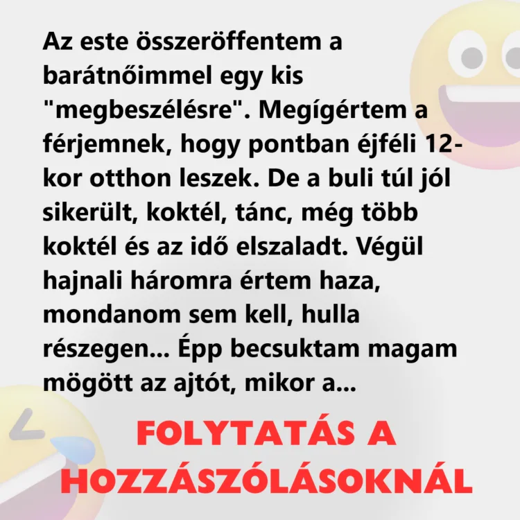 Vicc: Az este összeröffentem a barátnőimmel egy kis „megbeszélésre”