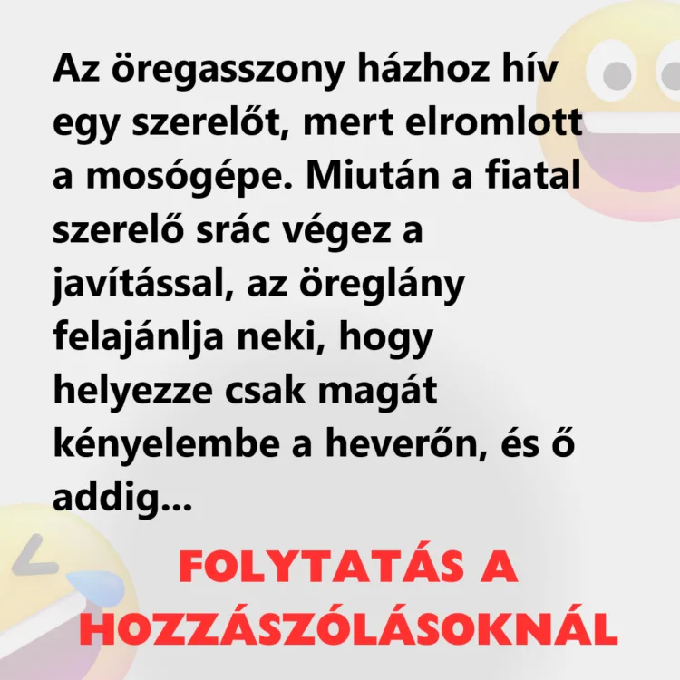 Vicc: Az öregasszony házhoz hív egy szerelőt