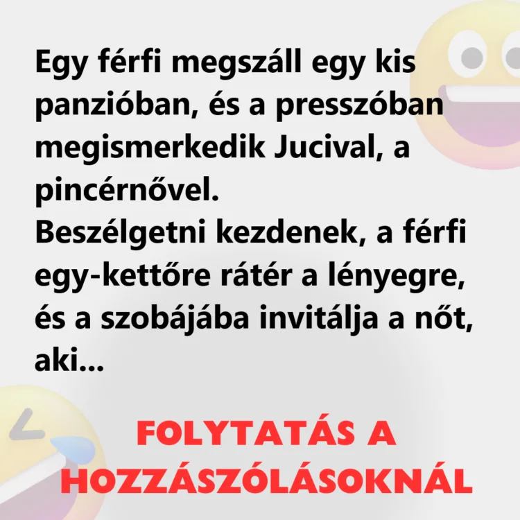 Vicc: Egy férfi megszáll egy kis panzióban, és a presszóban megismerkedik…