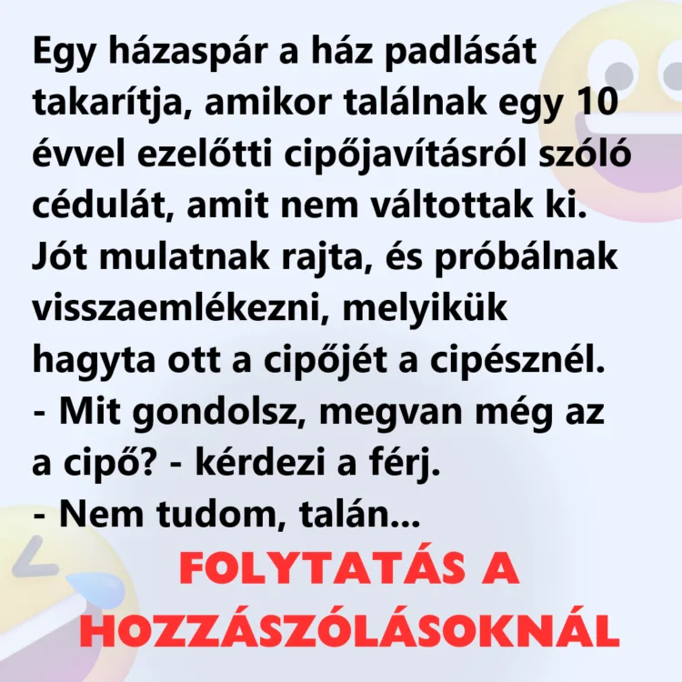 Vicc: Egy házaspár a ház padlását takarítja