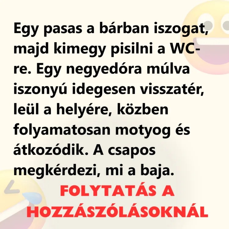 Vicc: Egy pasas a bárban iszogat, majd kimegy a WC-re