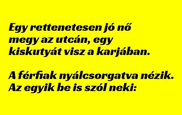 Vicc: Egy rettenetesen jó nő megy az utcán, egy kiskutyát visz a…