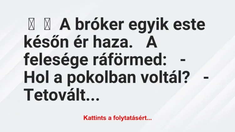 Vicc: 
	    	    A bróker egyik este későn ér haza.


A felesége…