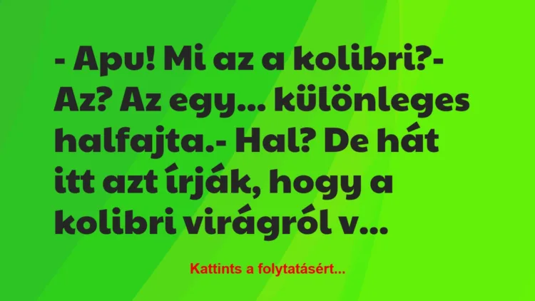 Vicc: – Apu! Mi az a kolibri?

– Az? Az egy… különleges…