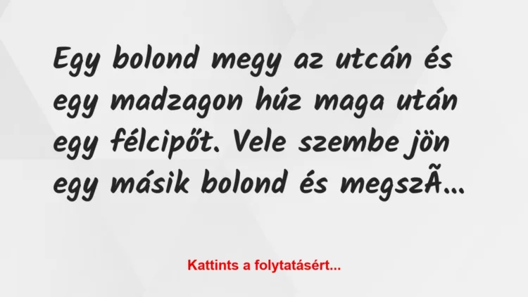 Vicc: Egy bolond megy az utcán és egy madzagon húz maga után egy félcipőt….