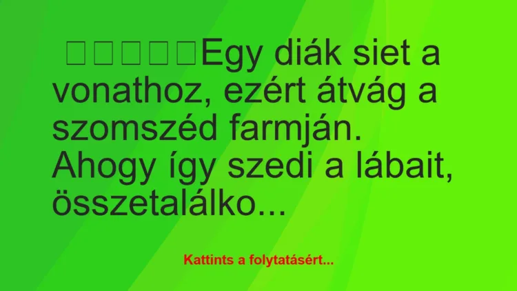 Vicc: Egy diák siet a vonathoz, ezért átvág a szomszéd farmján