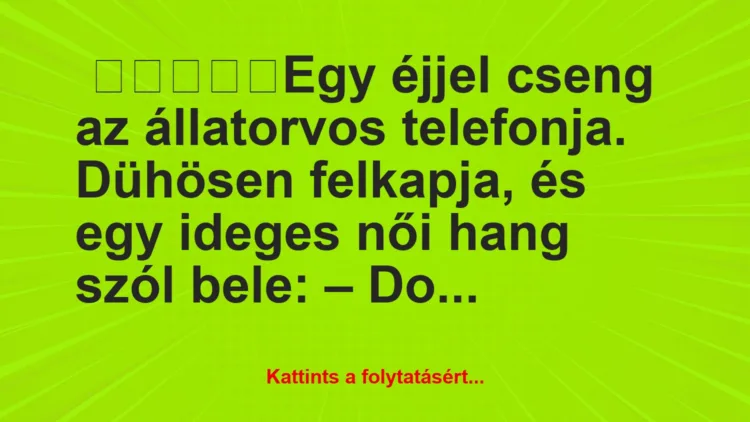 Vicc: Egy éjjel cseng az állatorvos telefonja