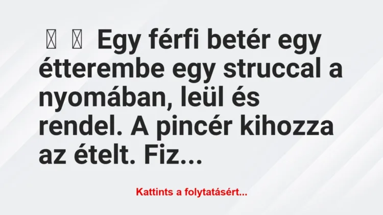 Vicc: 
	    	    Egy férfi betér egy étterembe egy struccal a nyomában, leül…