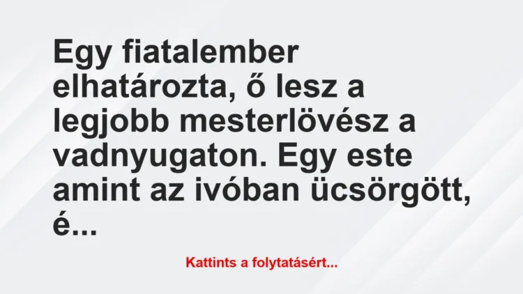 Vicc: Egy fiatalember elhatározta, ő lesz a legjobb mesterlövész a…