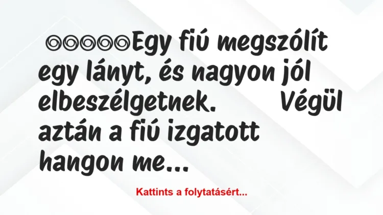 Vicc: Egy fiú megszólít egy lányt, és nagyon jól elbeszélgetnek.