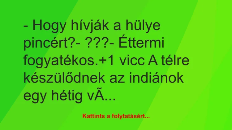 Vicc: – Hogy hívják a hülye pincért?

– ???

– Éttermi fogyatékos.