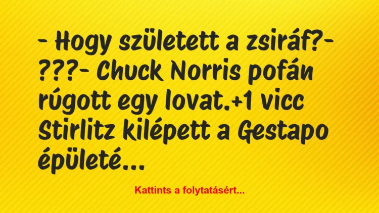 Vicc: – Hogy született a zsiráf?

– ???

– Chuck Norris pofán rúgott…