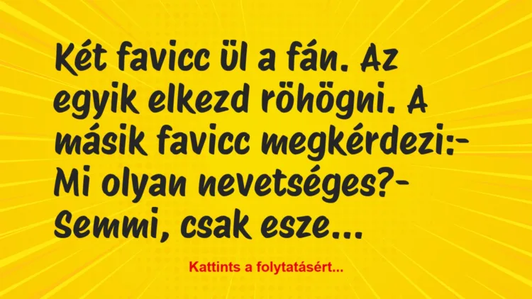 Vicc: Két favicc ül a fán. Az egyik elkezd röhögni. A másik favicc…