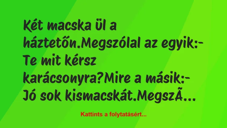 Vicc: Két macska ül a háztetőn.

Megszólal az egyik:

– Te mit kérsz…