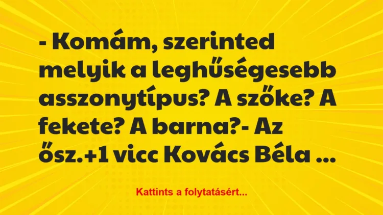 Vicc: – Komám, szerinted melyik a leghűségesebb asszonytípus? A szőke? A…