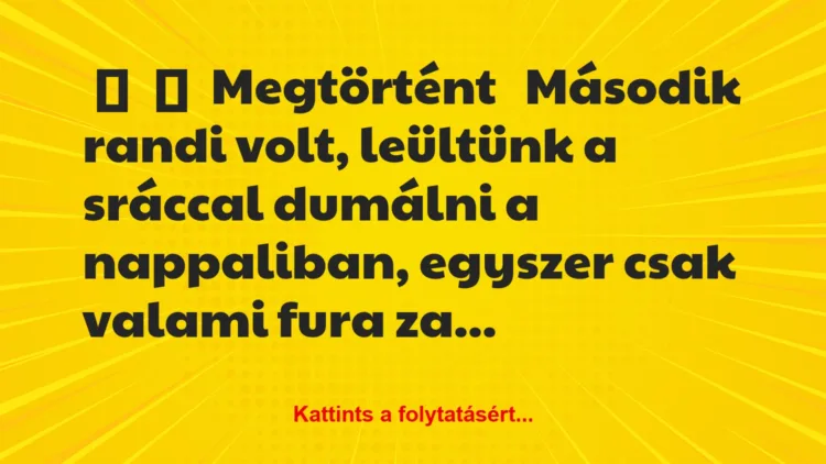 Vicc: 
	    	    Megtörtént


Második randi volt, leültünk a sráccal…