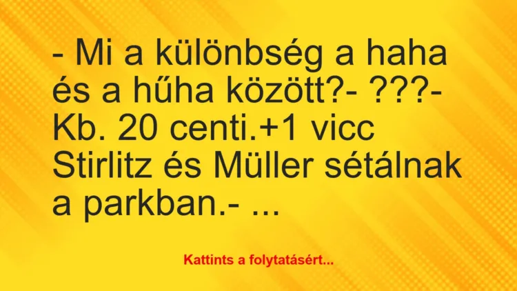 Vicc: – Mi a különbség a haha és a hűha között?

– ???

– Kb. 20…