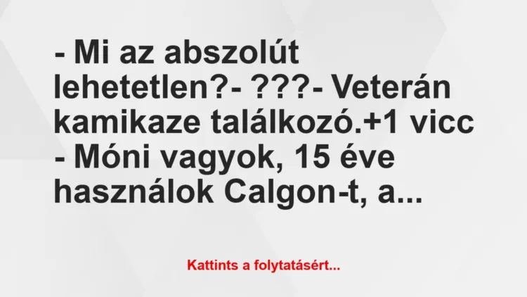 Vicc: – Mi az abszolút lehetetlen?

– ???

– Veterán kamikaze…